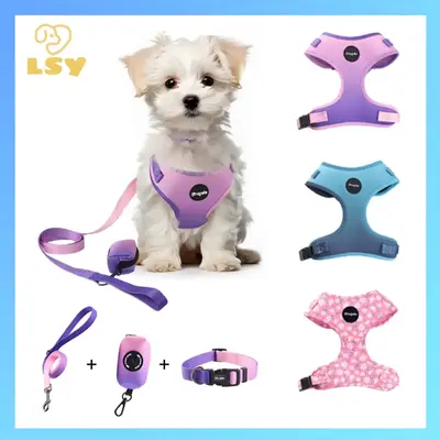 Adjustable Dog Vest with Leash, 1 Set Harness Style Dog Collar, Dog Chest Harness for Walking Training, Pet Supplies