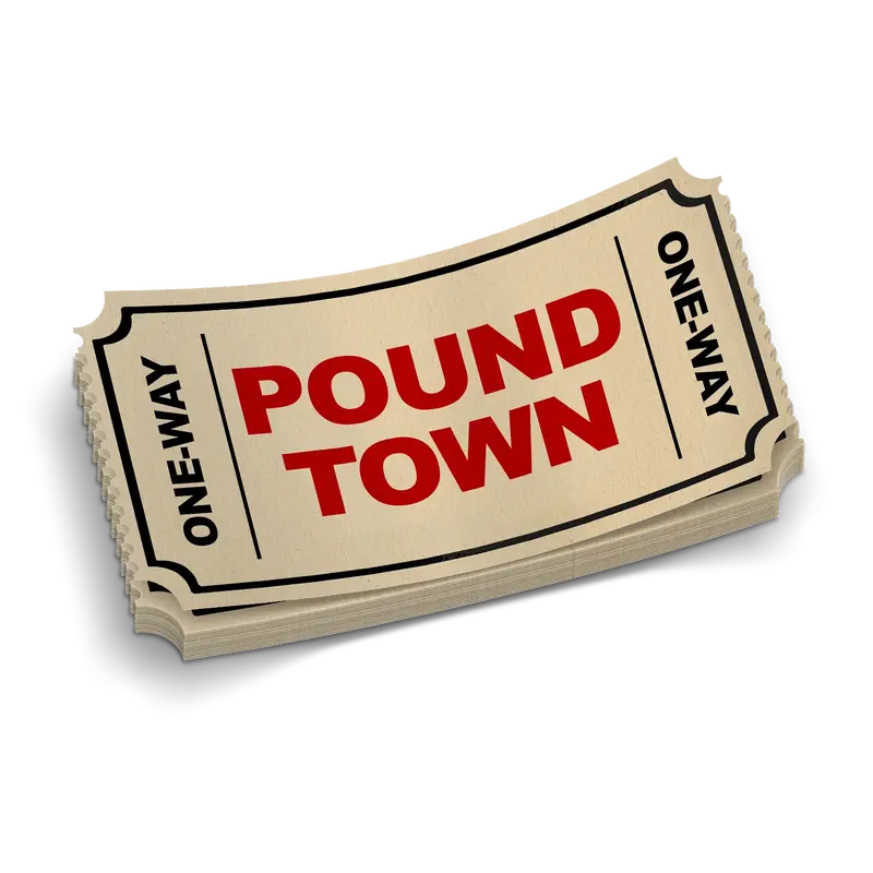 Pound Town Ticket - Hard Hat Decal