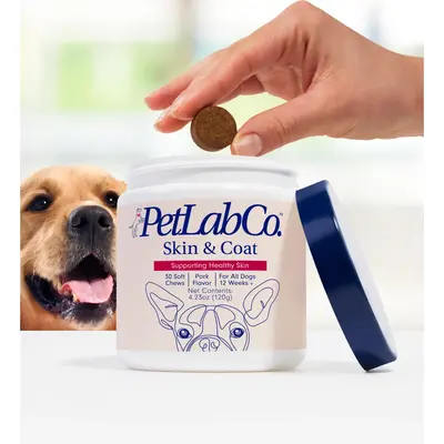 Dog Skin & Coat Supplement – Soft Chews for Moisture & Shine