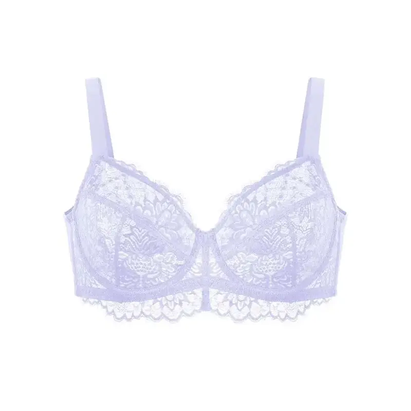HSIA Sunflower Floral Breathable Lace Unlined Sexy Full Coverage Underwire Plus Size Bra