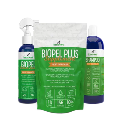 Flea Protection Bundle