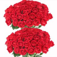 50/100 Pcs Rose Artificial Flower Fake Red Roses Artificial Silk Flowers with Long Stems for Valentines Decor Wedding Home Pa...