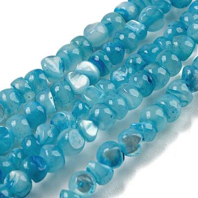 Natural White Shell Dyed Beads Strands