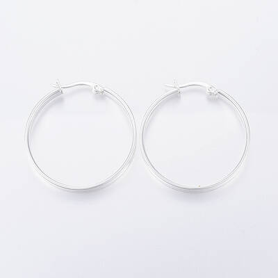 304 Stainless Steel Hoop Earrings