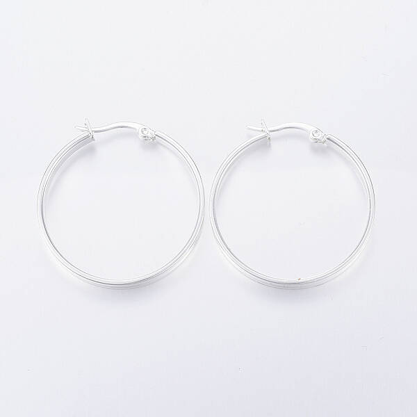 304 Stainless Steel Hoop Earrings