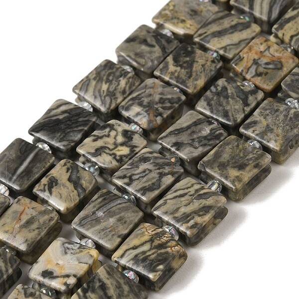 Natural Map Stone Beads Strands