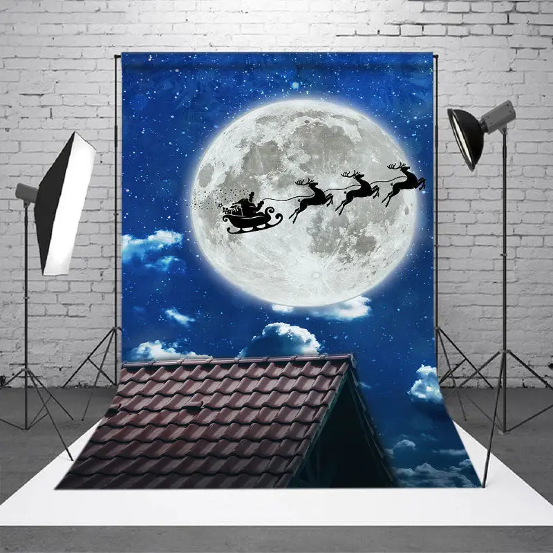 Reindeer Sleigh Moon Roof Christmas Photo Backdrop - Aperturee