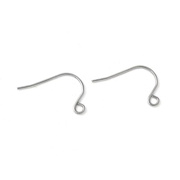316 Surgical Stainless Steel Earring Hooks
