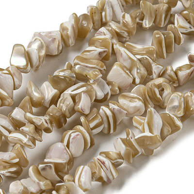Natural Trochus Shell Beads Strands
