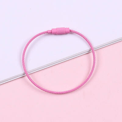 Spray Painted Steel Wire Cable Keychains