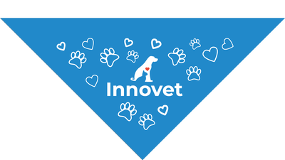 Blue Pet Bandanas - Small