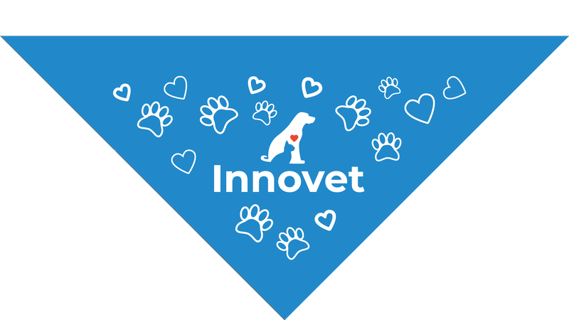 Blue Pet Bandanas - Small