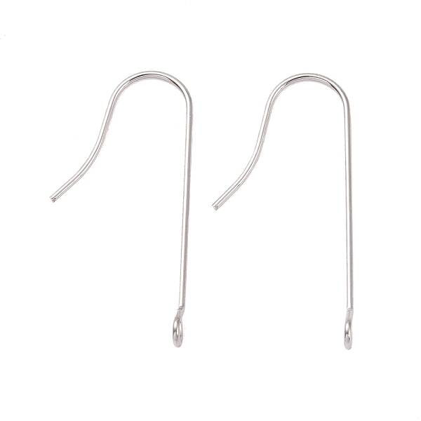 Tarnish Resistant 316 Surgical Stainless Steel Earring Hooks