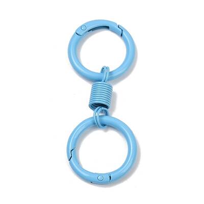 Alloy Spring Gate Clasps
