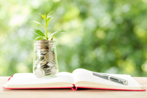 Basic Financial Life Skills