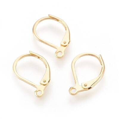 304 Stainless Steel Leverback Earrings Findings