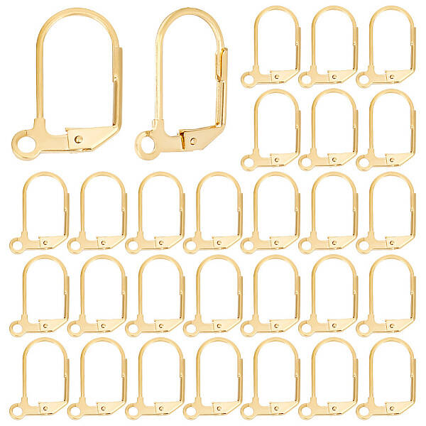 40Pcs 304 Stainless Steel Leverback Earring Findings