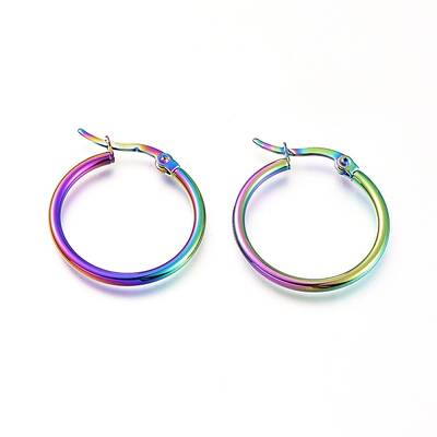 201 Stainless Steel Hoop Earrings