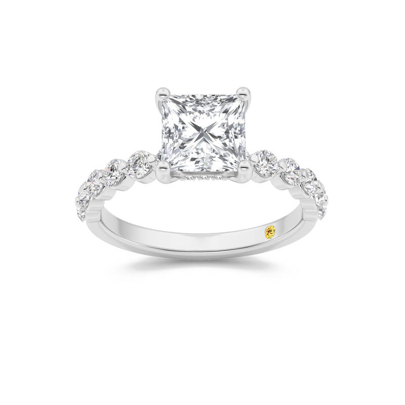 Frost Shared Prong Princess Cut Lab Grown Diamond Engagement Ring | White Gold 1 1/2 - 4 3/4 CT. TW.