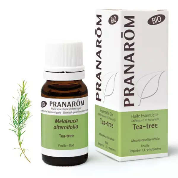 Pranarôm Essential Oils Organic Tea Tree Essential Oil 10ml