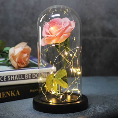 LED Light Rose Flower in Glass Gift