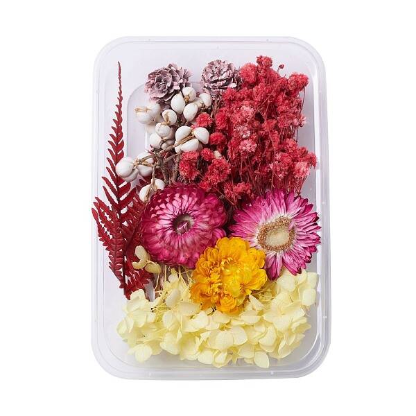 Dried Flowers