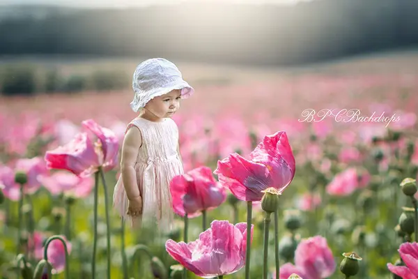 Aperturee Pink Tulip Field Pink Flowers Portrait Spring Backdrop