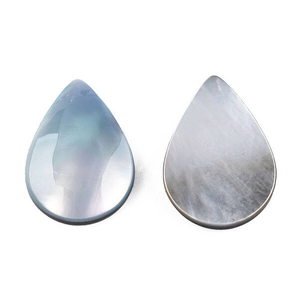 Natural Turbo Cornulus/Top Shells Cabochons