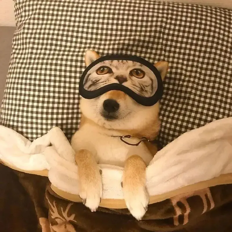 super deal test2 Spring and autumn thin short sleeves