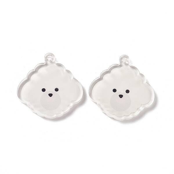 Transparent Acrylic Pendants