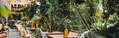 Eats and Treats: A Culinary Tour of London with Context