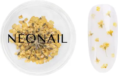 NEONAIL Dried Flowers dry flower for nails color 07 Yellow