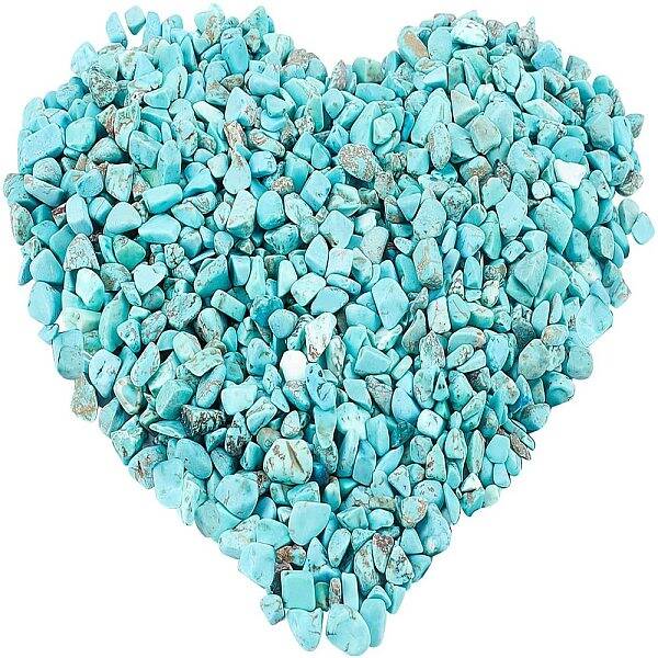 AHANDMAKER Dyed & Heated Natural Howlite Chip Beads