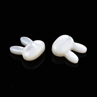 Natural White Shell Mother of Pearl Shell Beads