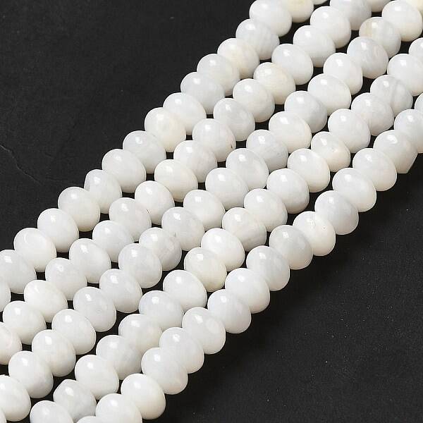 Natural Freshwater Shell Beads Strands