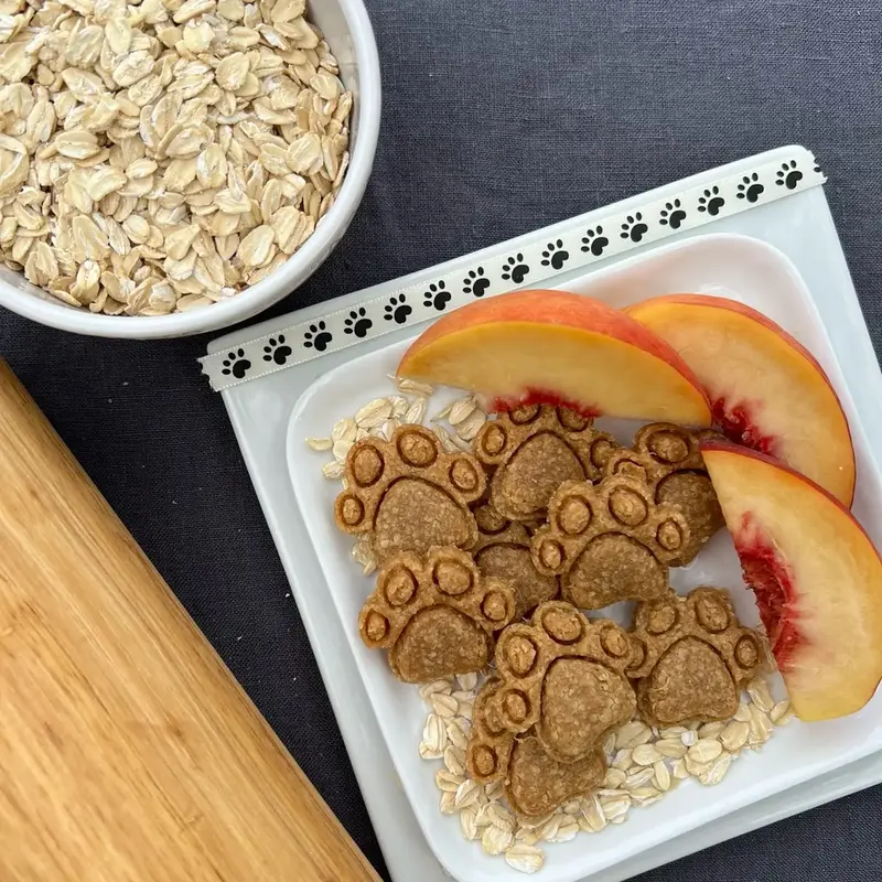Peach Paradise Organic Homemade Dog Treats