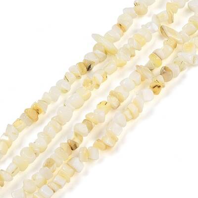 Natural Freshwater Shell Beads Strands