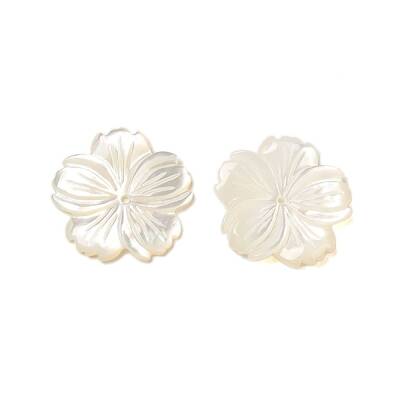 Natural White Shell Beads