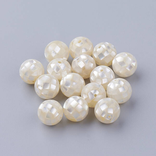 Natural White Shell Beads