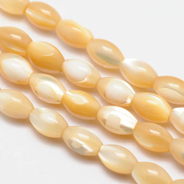Natural Sea Shell Oval Bead Strands