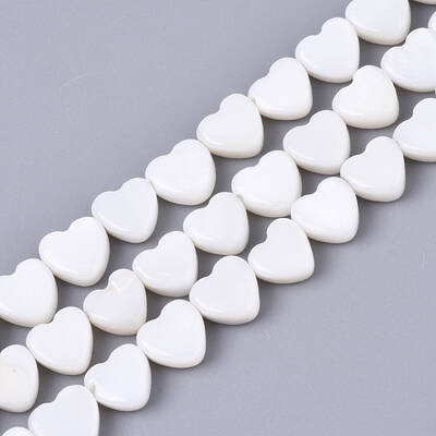 Natural Freshwater Shell Beads Strands