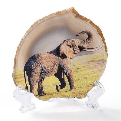Printed Natural Agate Slice Stone Ornament