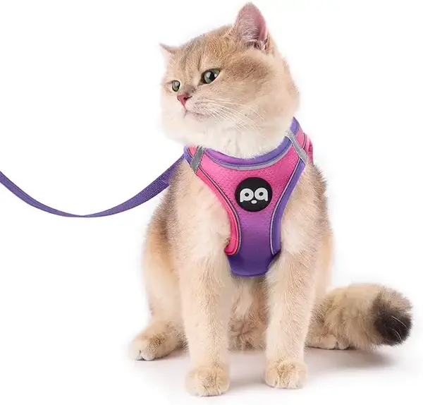 Cat Harness and Leash Set for Walking Escape Proof, Safe Adjustable Kitten Vest with Reflective Strips, Easy Control Soft Mes...