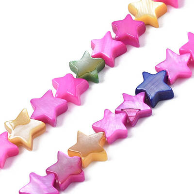 Natural Freshwater Shell Beads Strands
