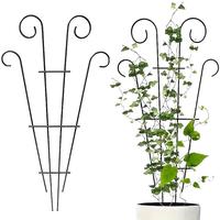 Metal-Plant Support Cage, Decorative Lattice for Climbing Plants, Indoor/Outdoor Garden Flower Pot Vine Stake with Wrought Ir...
