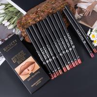 Easy Coloring Matte Lipliner Pencil Set, 12pcs/box Matte Finish Lip Liner Stain, Suitable for All Occasions Lip Makeup, Cosme...