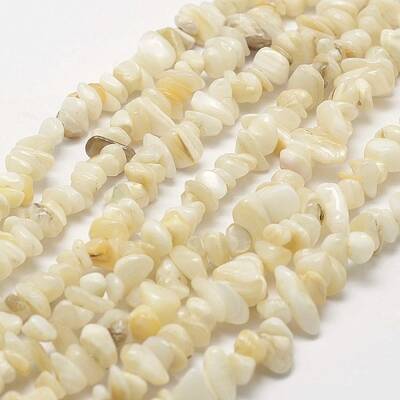 Natural Shell Beads Strands