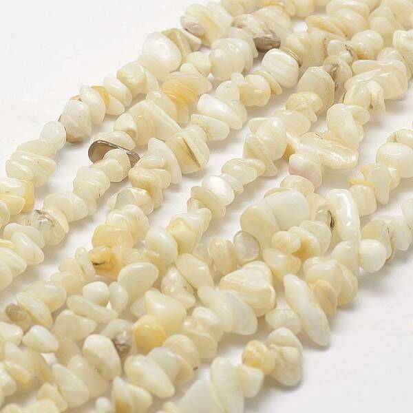 Natural Shell Beads Strands