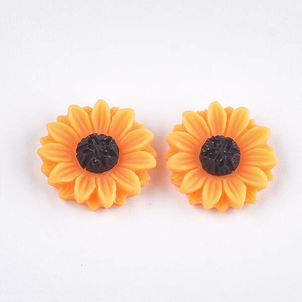 Resin Cabochons