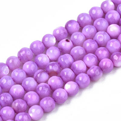 Natural Freshwater Shell Beads Strands